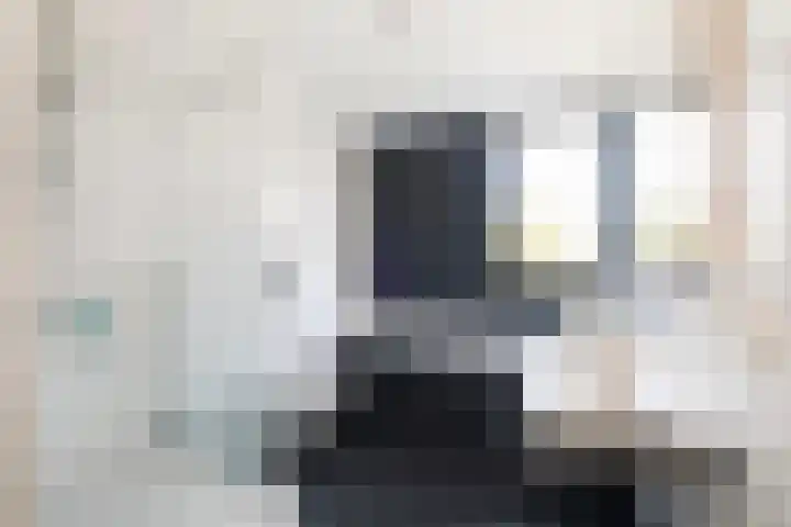 Smidshamer 18 Dronten thumbnail 4