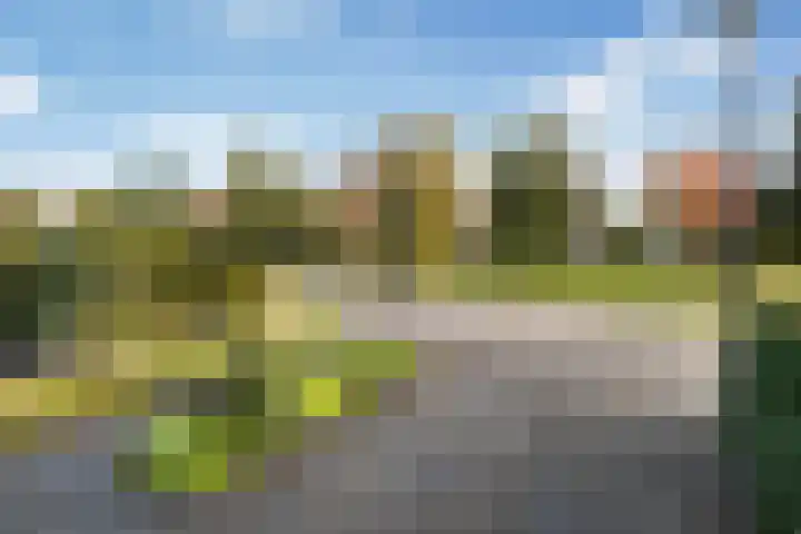 Smidshamer 18 Dronten thumbnail 8