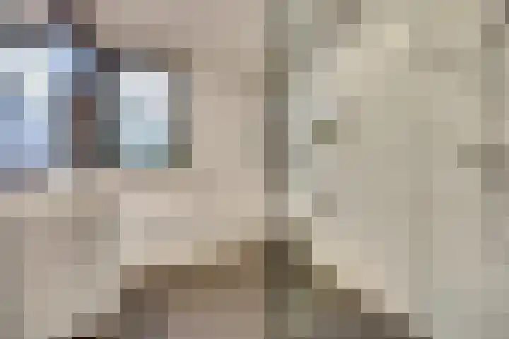 Smidshamer 30 Dronten thumbnail 24