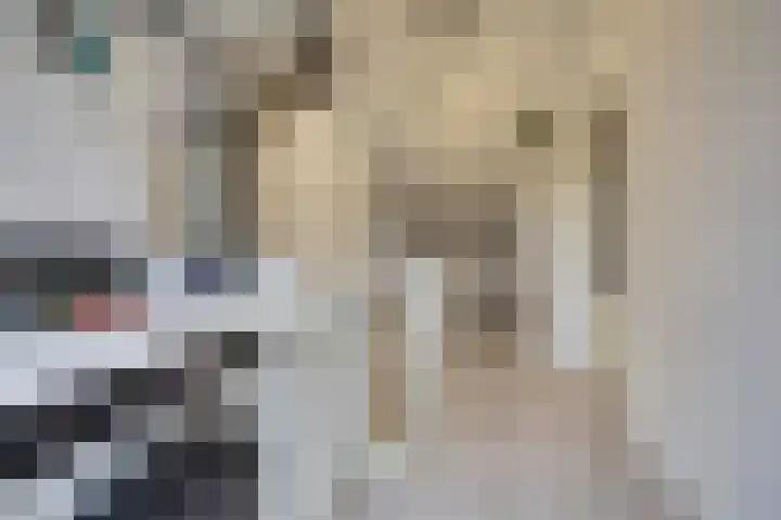 Smidshamer 30 Dronten thumbnail 29