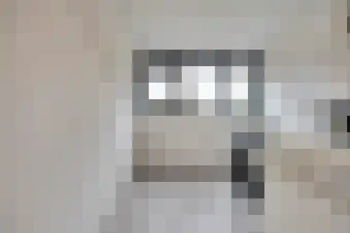 Smidshamer 30 Dronten thumbnail 32