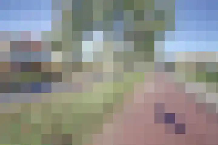 Smidshamer 30 Dronten thumbnail 34