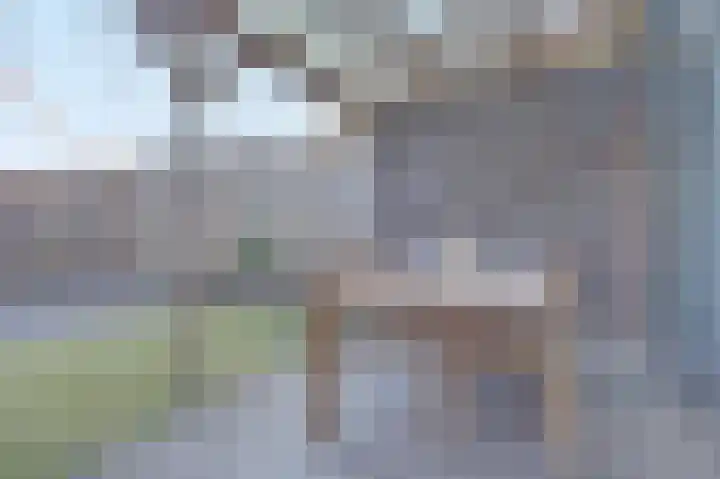 Smidshamer 30 Dronten thumbnail 36