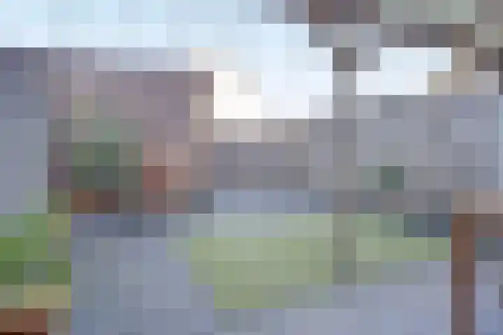 Smidshamer 30 Dronten thumbnail 37