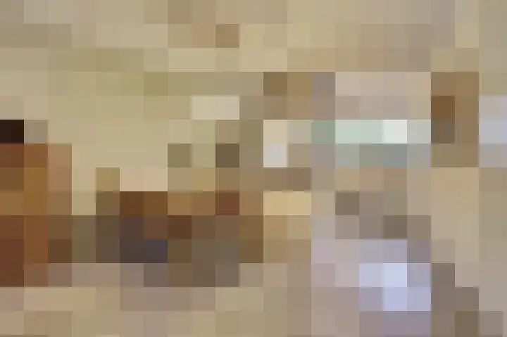 Smidshamer 30 Dronten thumbnail 6