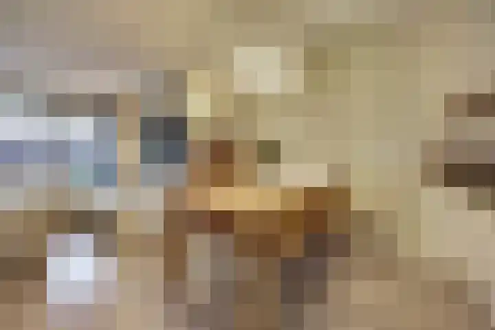 Smidshamer 30 Dronten thumbnail 8