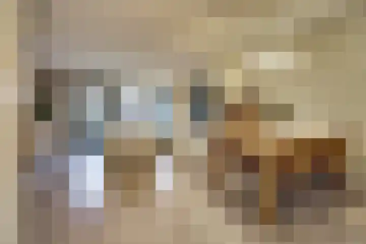 Smidshamer 30 Dronten thumbnail 9