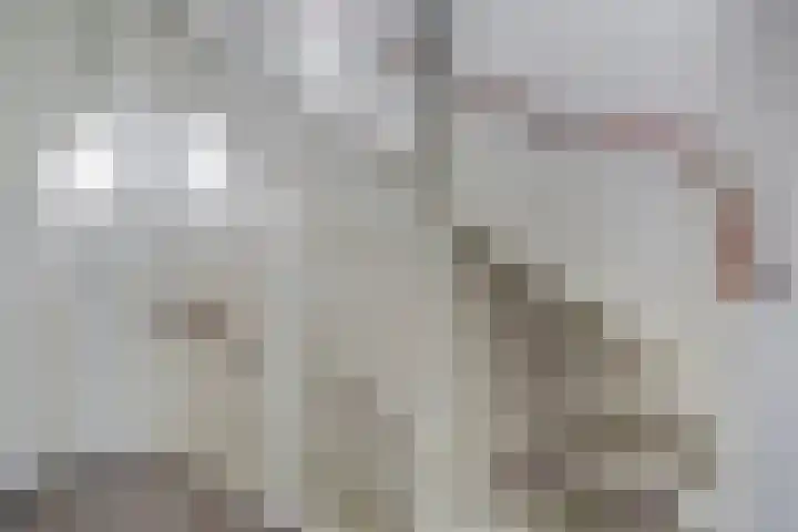 Smidshamer 36 Dronten thumbnail 14
