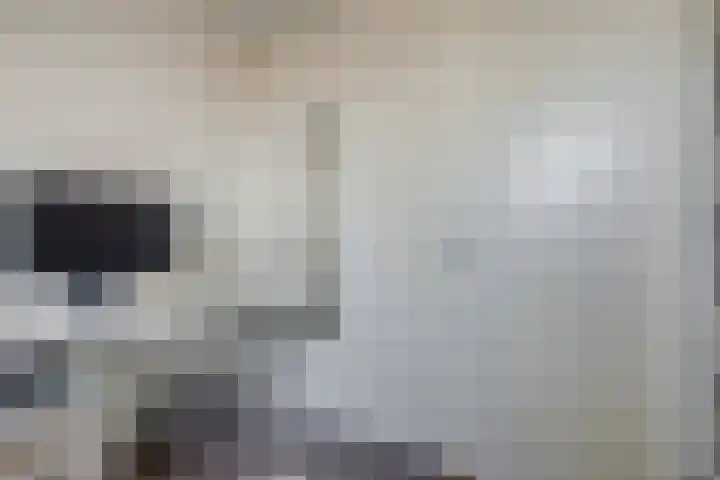 Smidshamer 36 Dronten thumbnail 20