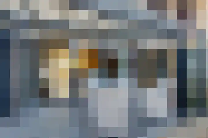 Smidshamer 36 Dronten thumbnail 28