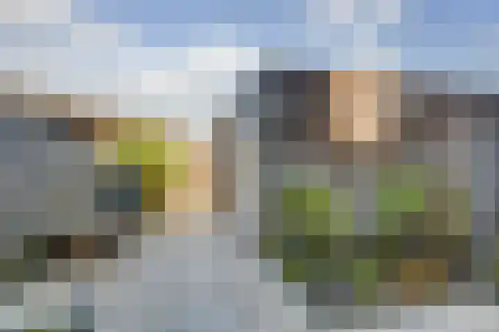 Smidshamer 36 Dronten thumbnail 31
