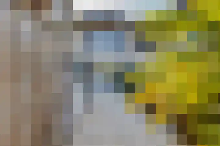 Smidshamer 36 Dronten thumbnail 33