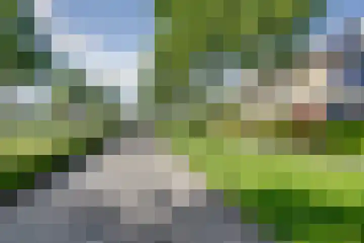 Smidshamer 36 Dronten thumbnail 37