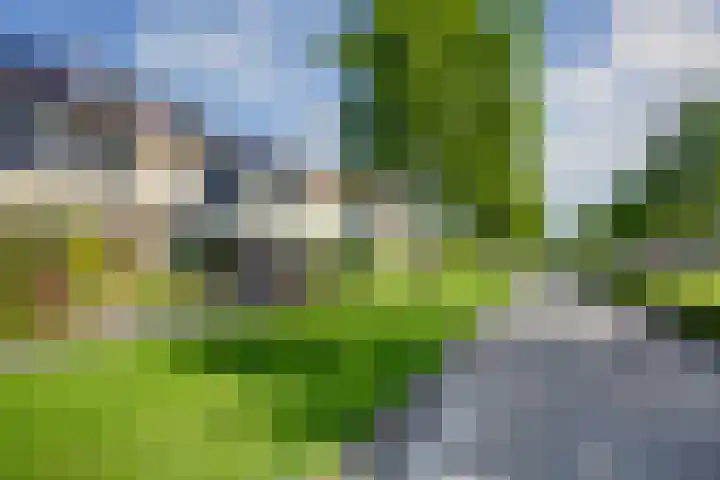 Smidshamer 36 Dronten thumbnail 38