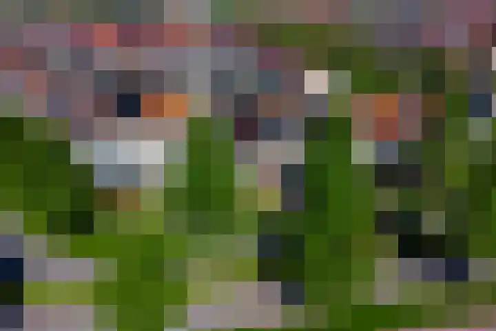 Smidshamer 36 Dronten thumbnail 39
