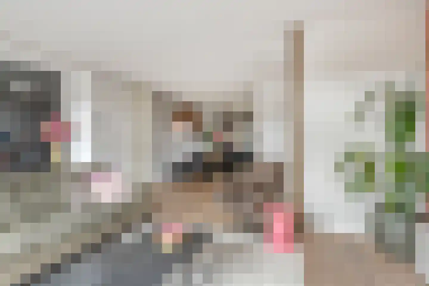 Smidshamer 42 Dronten thumbnail 12