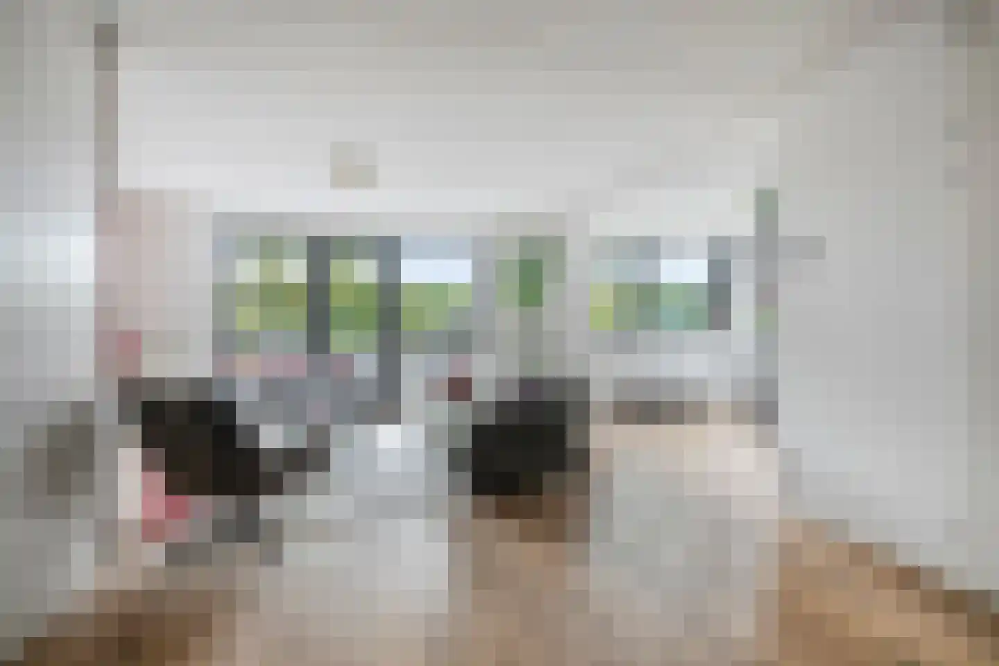 Smidshamer 42 Dronten foto 2
