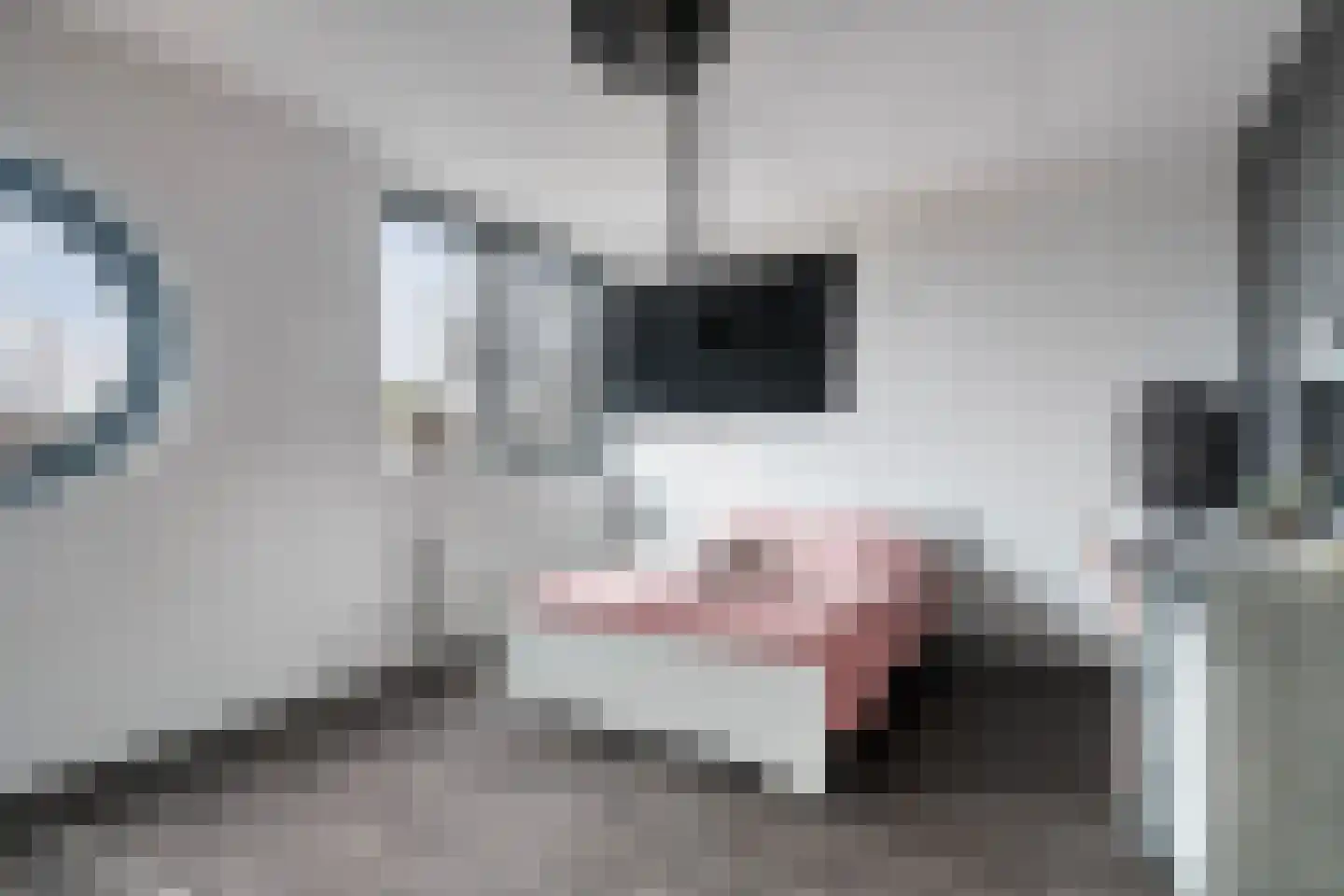 Smidshamer 42 Dronten thumbnail 20