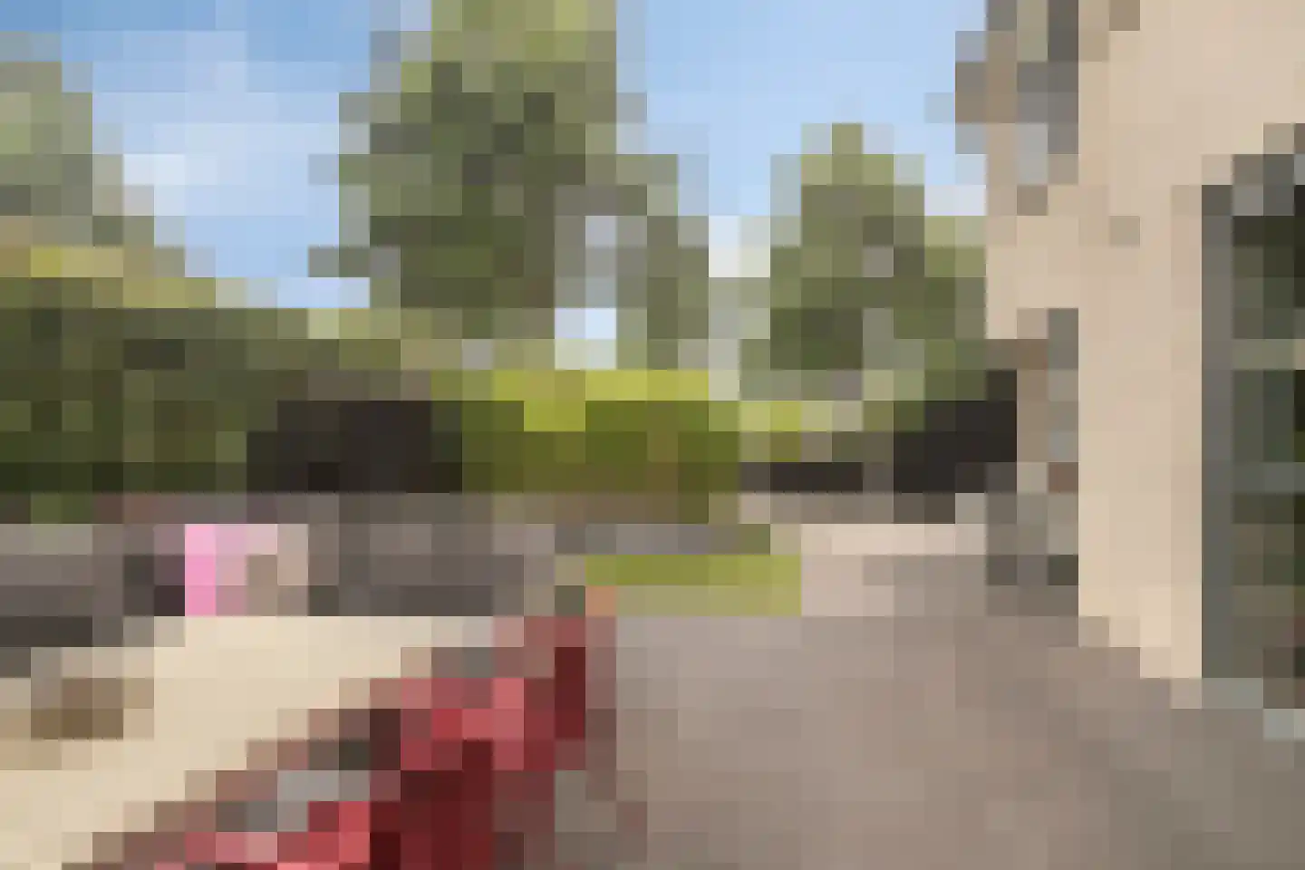 Smidshamer 42 Dronten thumbnail 41