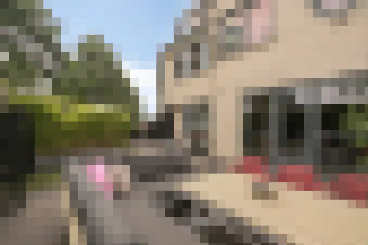 Smidshamer 42 Dronten thumbnail 42