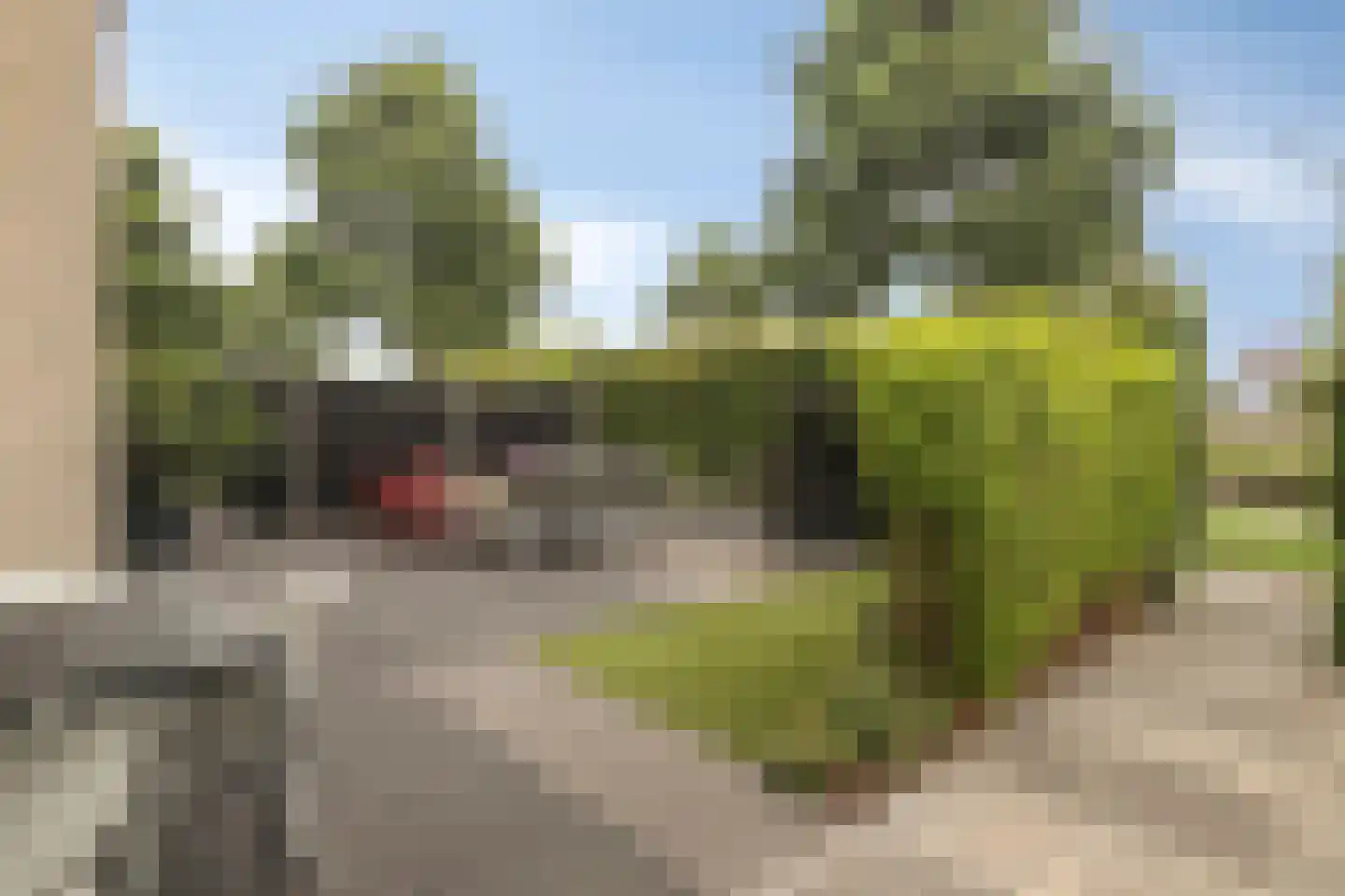 Smidshamer 42 Dronten thumbnail 43