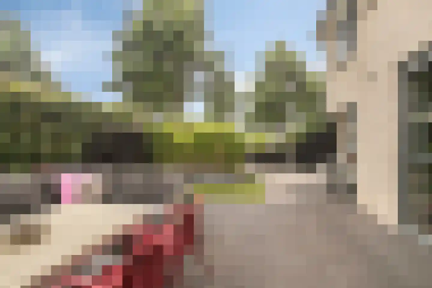 Smidshamer 42 Dronten thumbnail 54