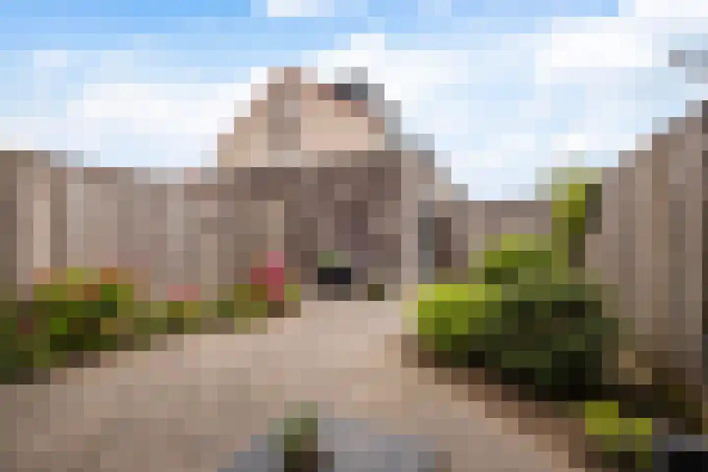 Smidshamer 66 Dronten thumbnail 22