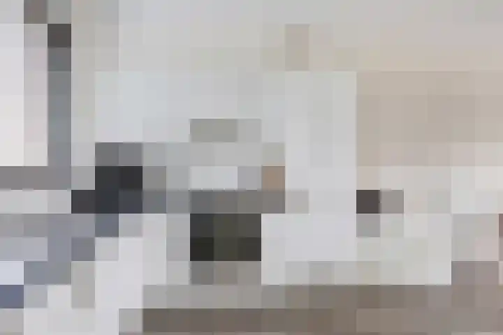 Smidshamer 68 Dronten thumbnail 15