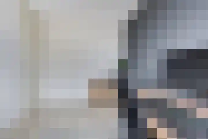 Smidshamer 68 Dronten thumbnail 22