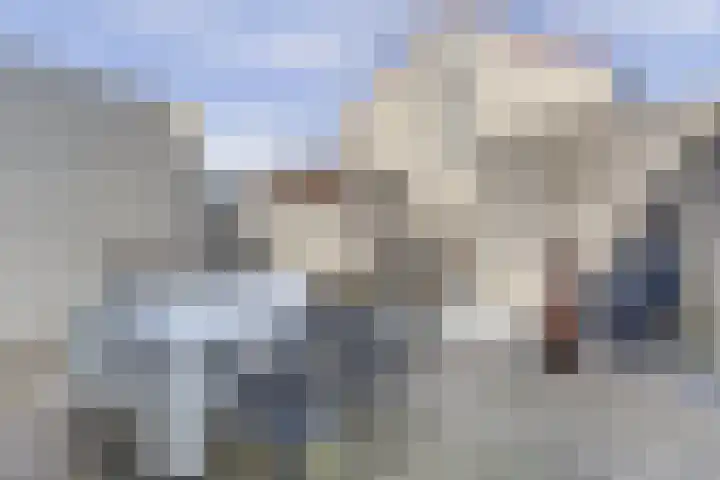 Smidshamer 68 Dronten thumbnail 28