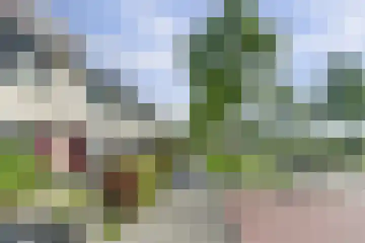 Smidshamer 68 Dronten thumbnail 33