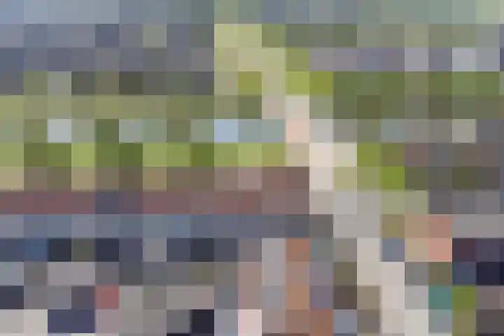 Smidshamer 68 Dronten thumbnail 36