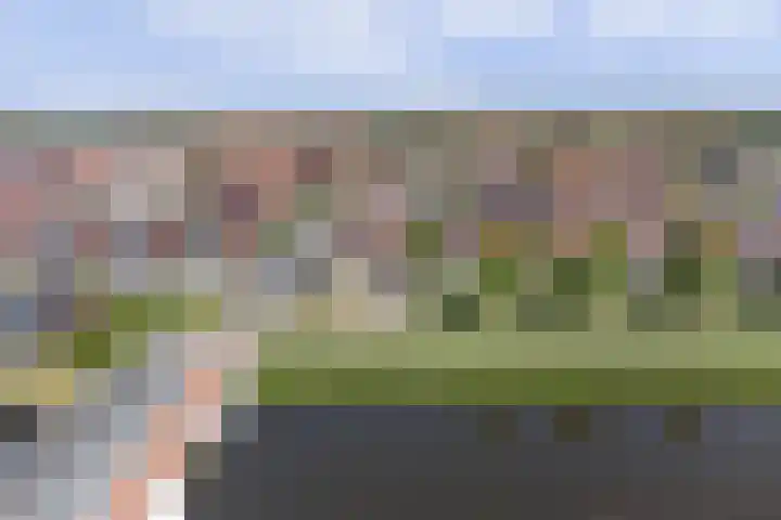 Smidshamer 68 Dronten thumbnail 38