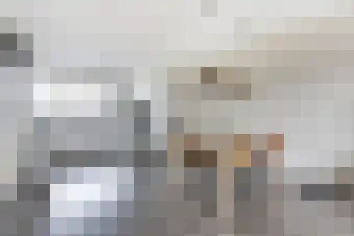 Smidshamer 68 Dronten thumbnail 4