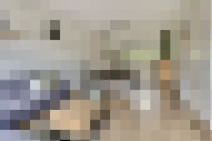 Smidshamer 8 Dronten thumbnail 10