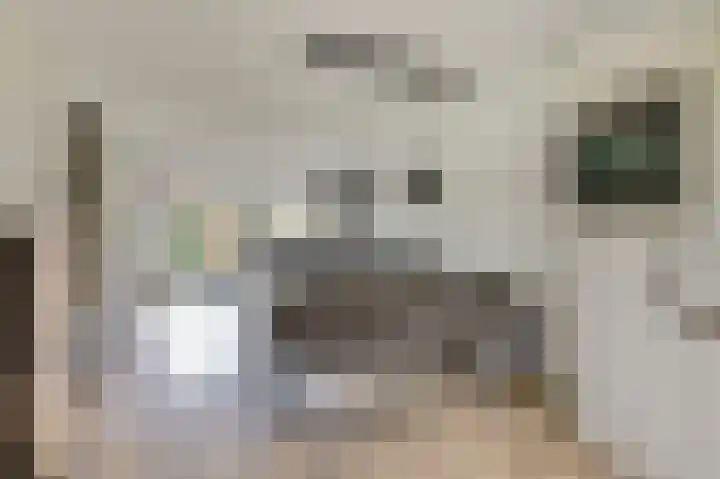 Smidshamer 8 Dronten thumbnail 13