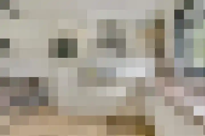 Smidshamer 8 Dronten thumbnail 14