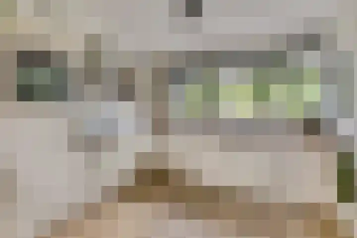 Smidshamer 8 Dronten thumbnail 15