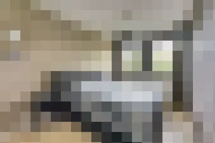 Smidshamer 8 Dronten thumbnail 17