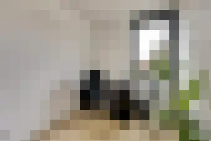Smidshamer 8 Dronten thumbnail 21