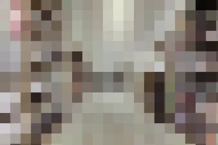 Smidshamer 8 Dronten thumbnail 29