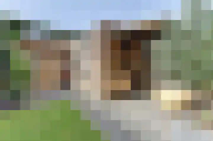 Smidshamer 8 Dronten thumbnail 37