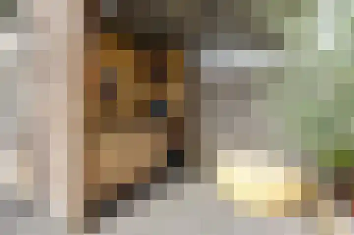 Smidshamer 8 Dronten thumbnail 38
