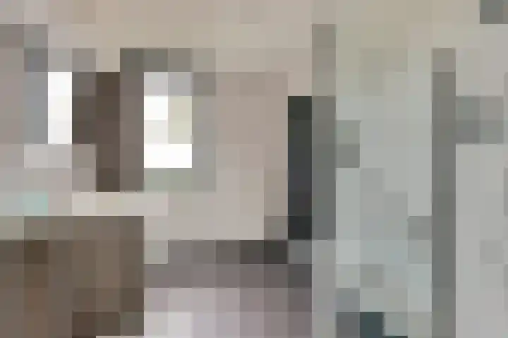 Smidshamer 8 Dronten thumbnail 4
