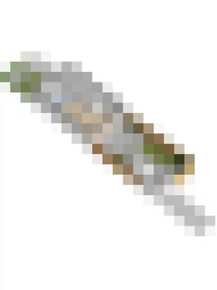Smidshamer 8 Dronten thumbnail 54