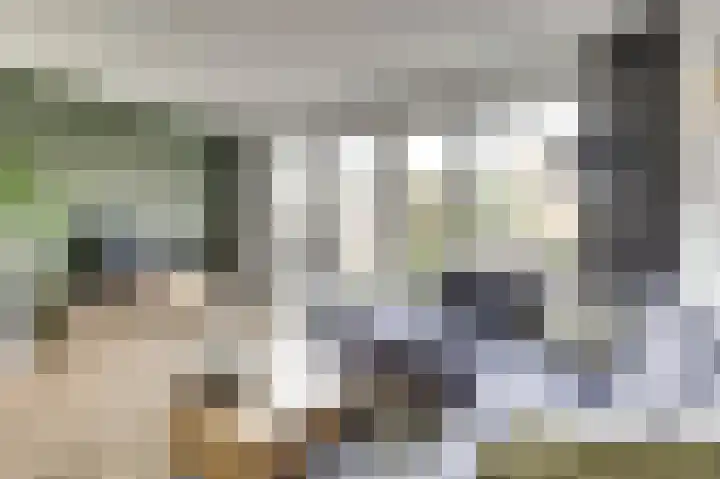 Smidshamer 8 Dronten thumbnail 8
