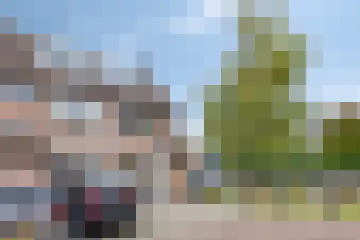 Smidshoef 15 Hendrik-Ido-Ambacht thumbnail 10