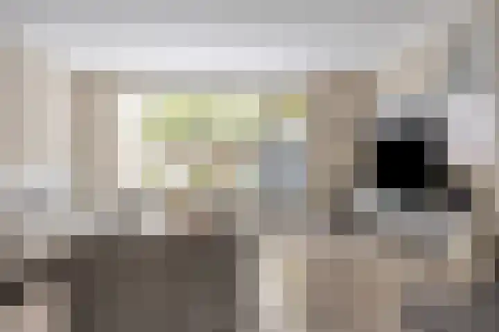 Smidshoef 15 Hendrik-Ido-Ambacht thumbnail 12