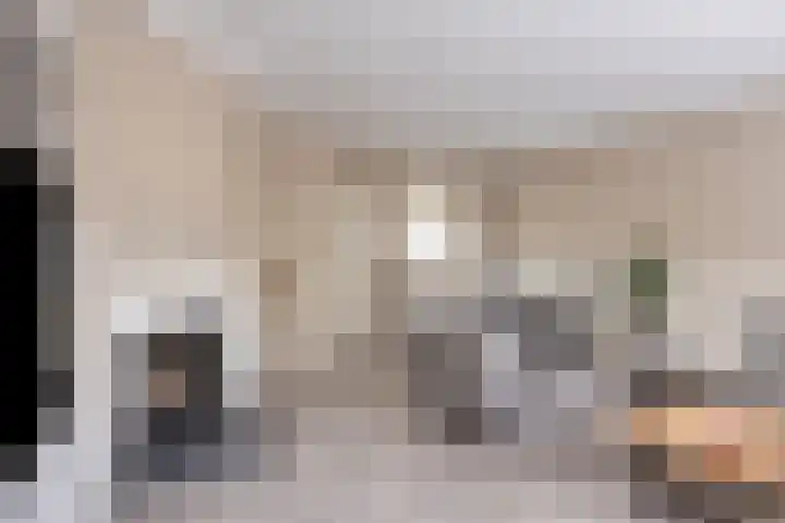 Smidshoef 15 Hendrik-Ido-Ambacht thumbnail 13