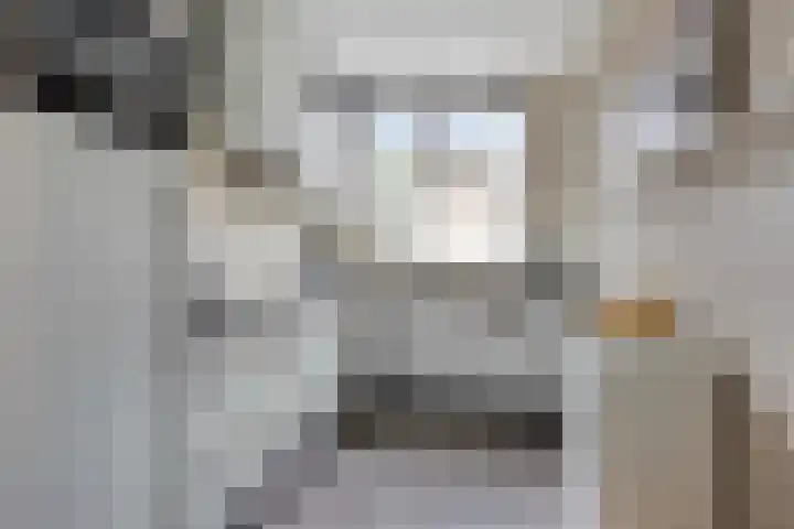 Smidshoef 15 Hendrik-Ido-Ambacht thumbnail 17